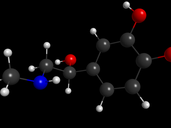 Adrenaline Model